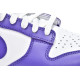 PK God Nike Dunk Low Championship Court Purple