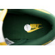 PK God Nike SB Dunk Low SP Brazil